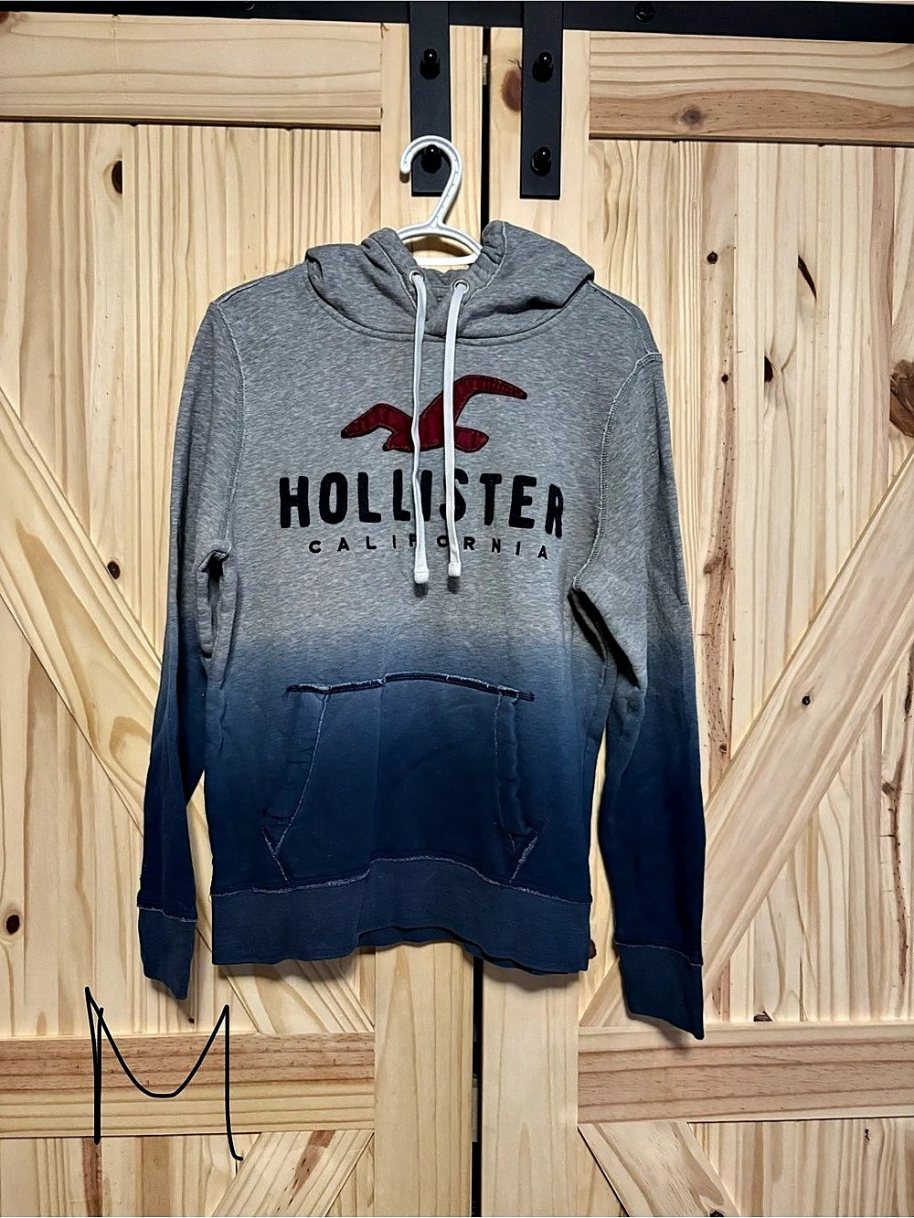 Hollister Ombre Logo Graphic Pullover Hoodie women Gray & Blue